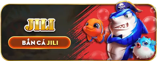 Minh họa phần Câu Hỏi Thường Gặp